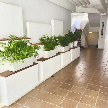 Daire En Puerto Banus Jardines Tropicales1 *
