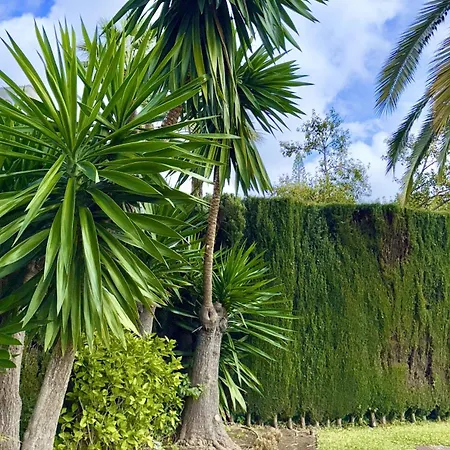 Apartament En Puerto Banus Jardines Tropicales1 Marbella