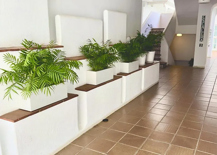 Daire En Puerto Banus Jardines Tropicales1 *