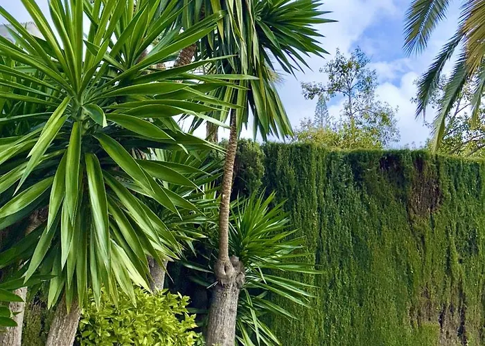 Appartamento En Puerto Banus Jardines Tropicales1 Marbella